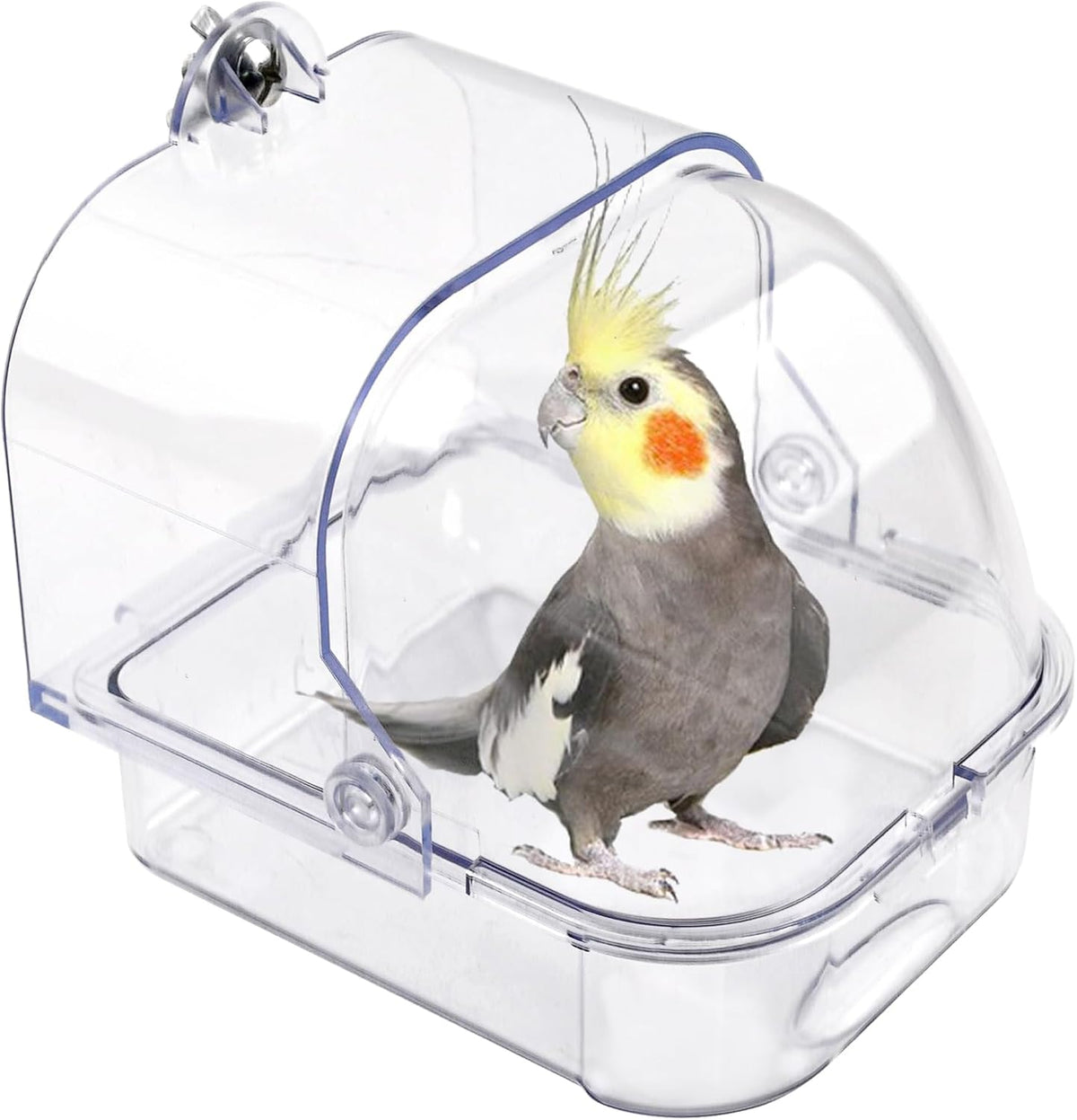 Automatic Bird Shower with Pump - 【Quadrate Transparent Bird Bath】