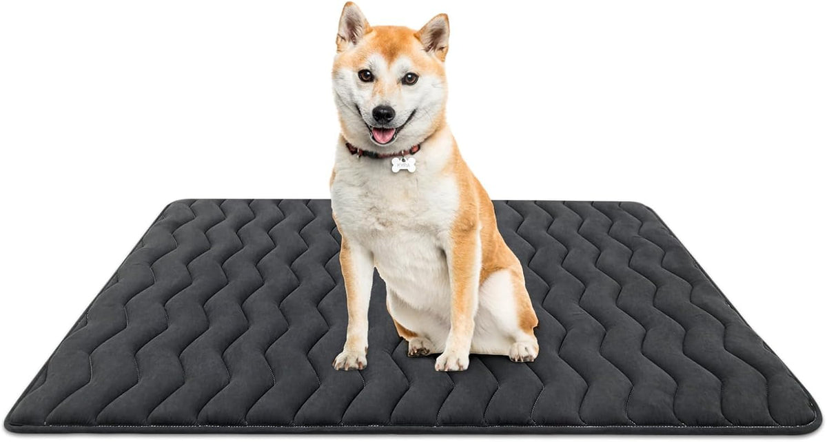 Bubble bear Dog Crate Mat, Ultra Soft - Upgraded Thick Black / 30.0"L x 19.0"W