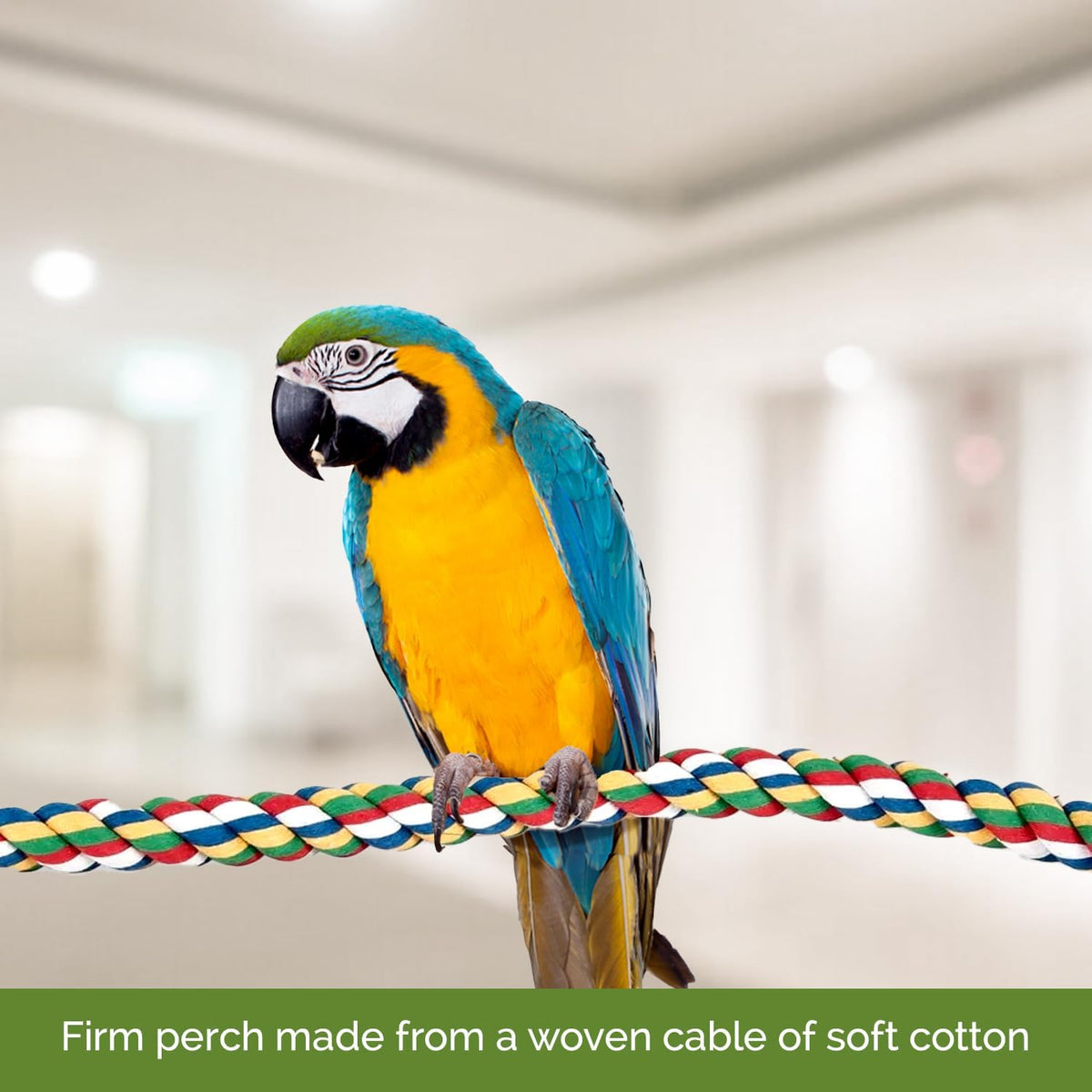 JW Pet Comfy Perch For Birds Flexible Multi-color Rope - Medium / 32" - image 2