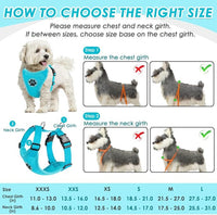 SlowTon Dog Seat Belt Harness for Car, Dog Car Harness Adjustable Mesh Breathable & Dog Seatbelt Safety Tether with Elastic Bungee for Small Medium Large Pets(Light Blue, Double Clip, XS)