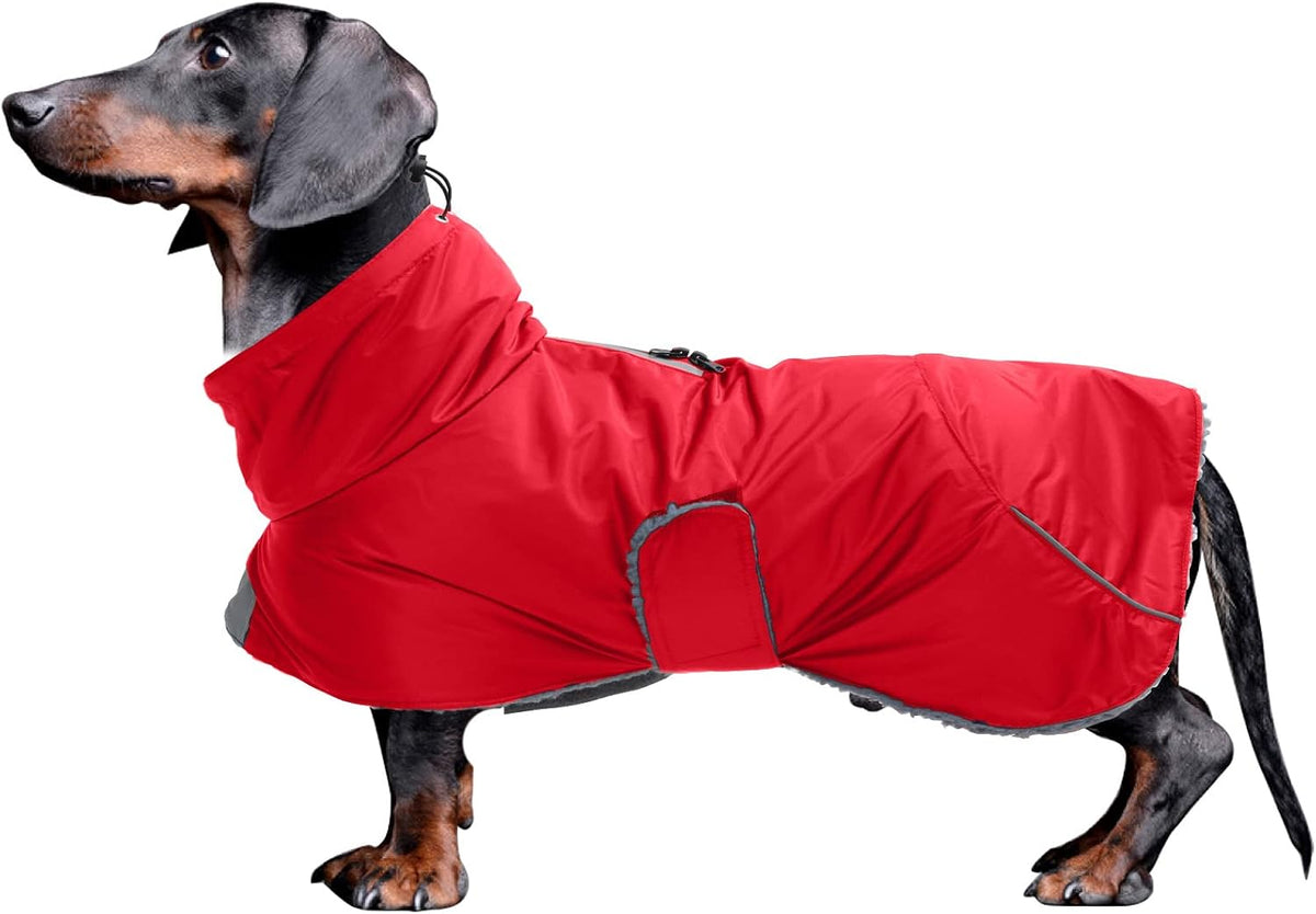 Dachshund Coats Waterproof, Perfect for Dachshunds, Sausage - Red / Small