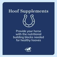 Uckele by SmartEquine Horse Biotin Powder | Hoof Supplement for Horses | Biotin for Horses | Includes Zinc and Methionine | 18 oz Jar