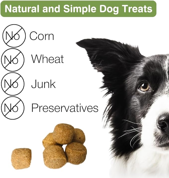 Chehalis Mint Dog Treats – Healthy, Crunchy, Vegan Biscuits with Whole & Real Ingredients – All Natural & USA‐Baked, (7 Ounce, Pack of 3)