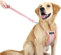Dog Seat Belt, Safety Vest Dog Car Harness with Adjustable Buckle Dog Seat Belt for Vehicle Nylon Pet Safety Seat Belts Heavy Duty(XL, Pink Daisy)