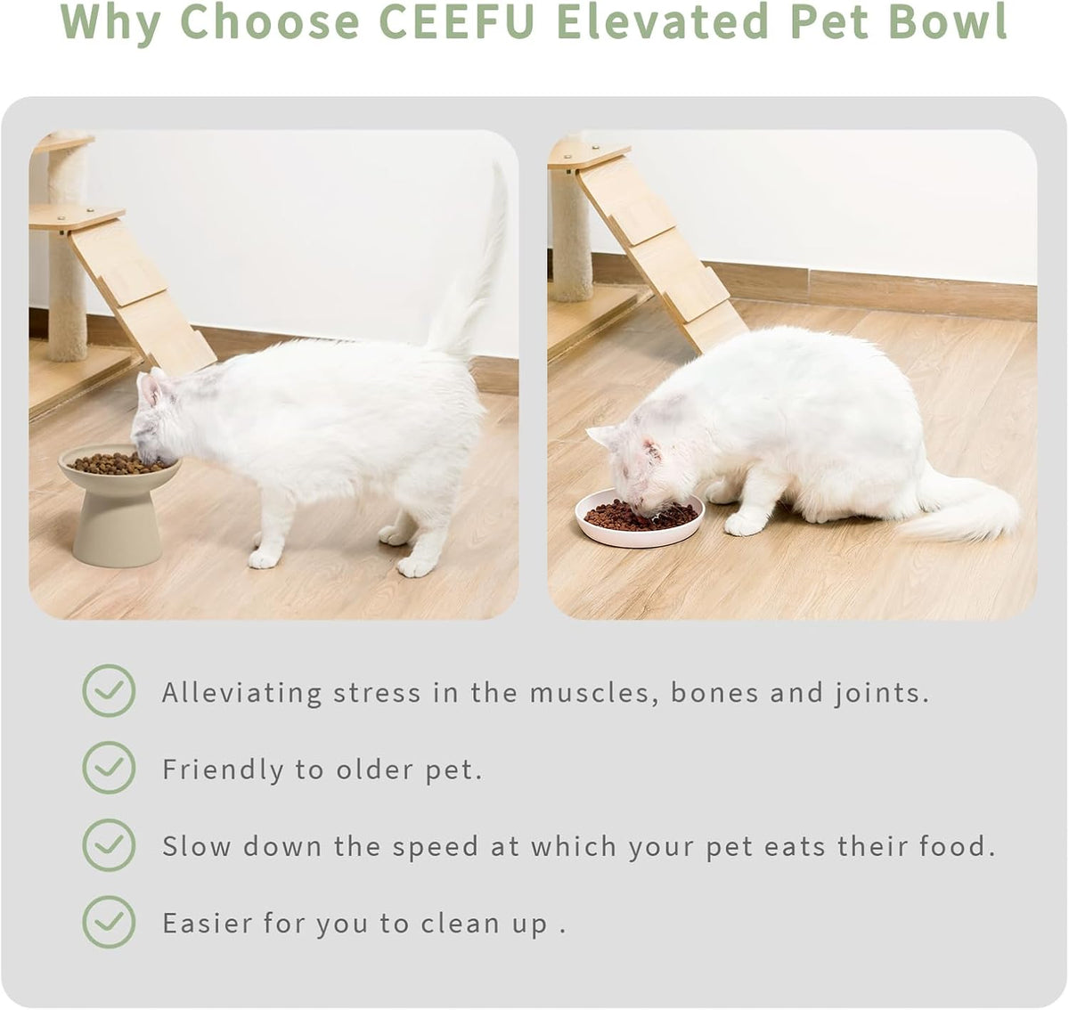 2-Pack Elevated Ceramic Cat Bowls Extra Wide for Food & Water – Essentials for Cats - Pottery Clay - image 4