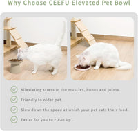 Extra Wide Elevated Ceramic 6.2" Shallow Cat Food Bowl – Essentials for Cats - Pottery Clay-Shallow - image 3