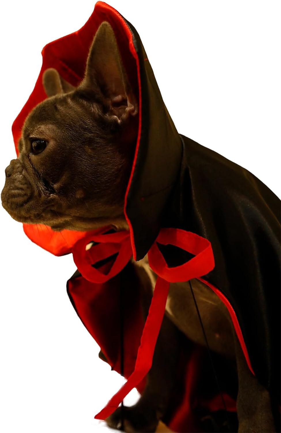 Dog Cat Vampire Cloak Costume for Small Medium Large Dogs Cats - Medium - image 2