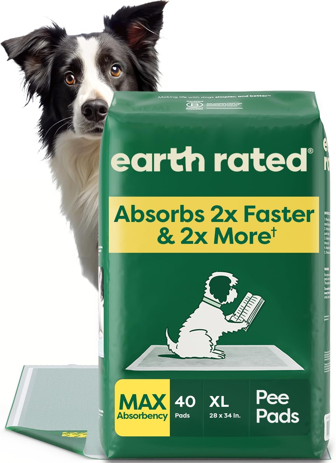 Regular Dog & Puppy Pee Pads, Max Absorbency - Discreet Top / XL 28"x34" 40-ct