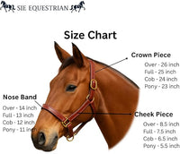 Triple Stitch Leather Horse Halter, Adjustable Design, Fancy Stitching, Solid Brass Hardware