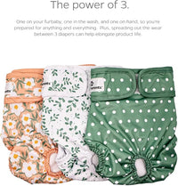 Pet Parents® Washable Dog Diapers (3pack) + Extendrs® of Durable Doggie Diapers, Premium Dog Diapers Female (Small, Daisy)