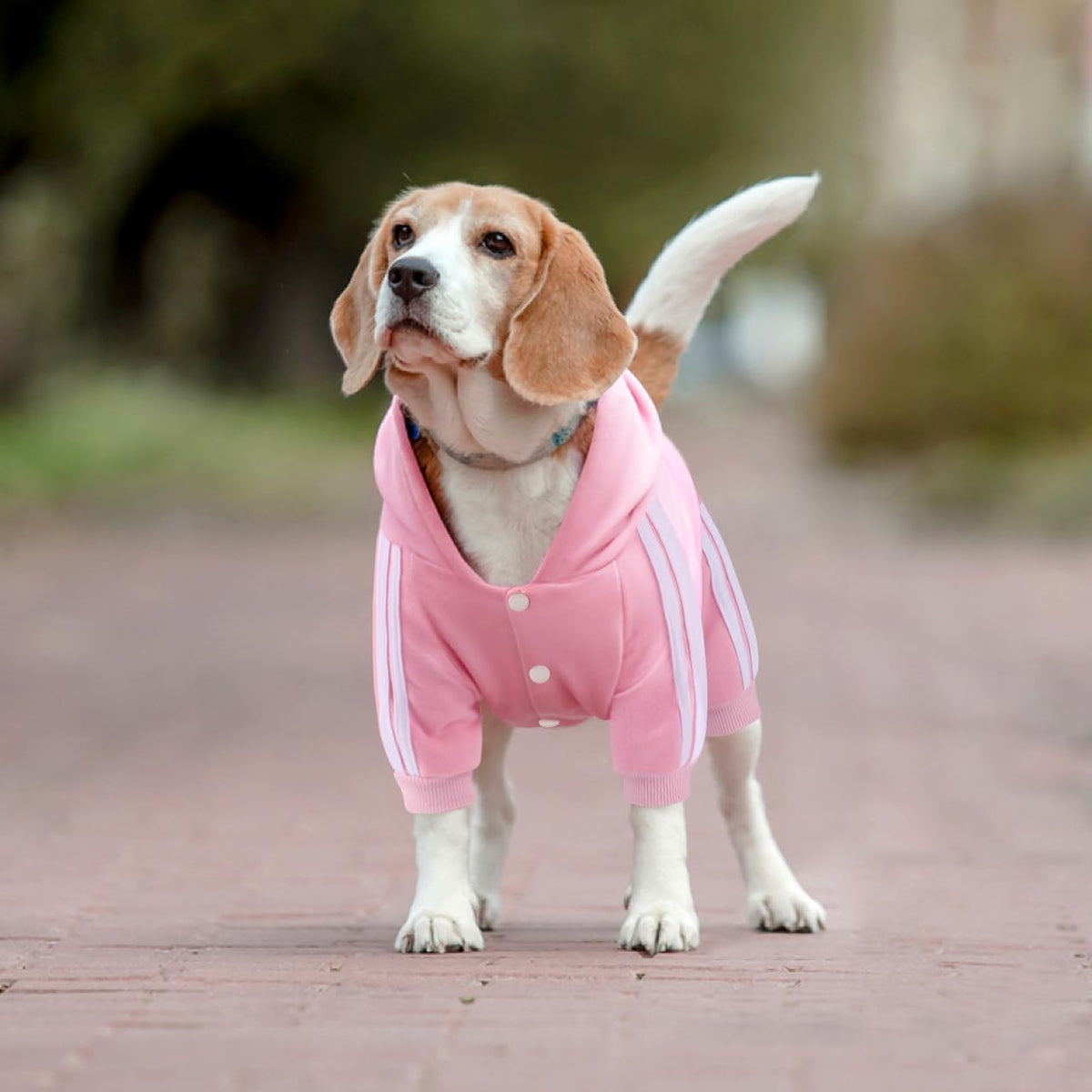 Dog Hoodie Security Clothes 4 Legs Jumpsuit Sweatshirt Hoodies Soft - Pink / Small - image 2