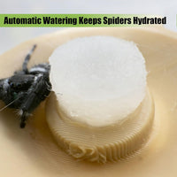 Jumping Spider Water Dispenser, Magnetic Hanging Feeder - Wood color / 5ML - image 2