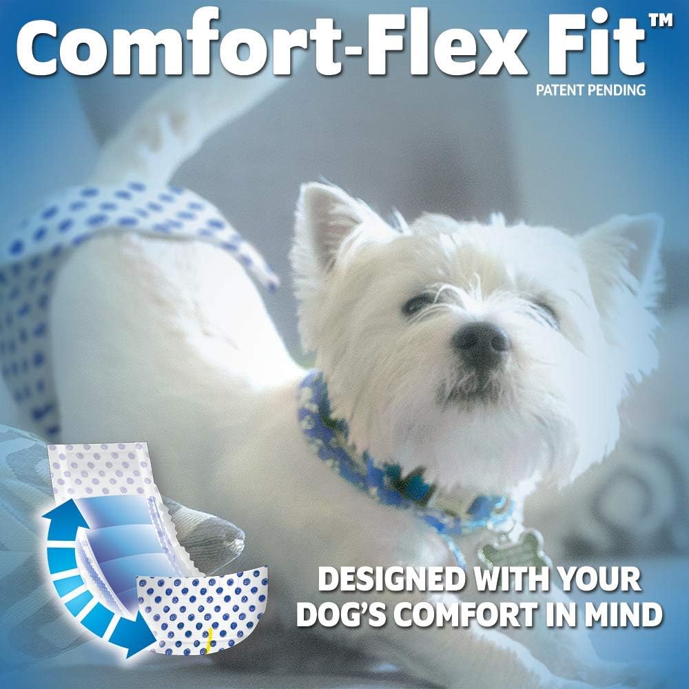 OUT! PetCare Male Dog Diapers, Disposable Belly Bands - XS/S / 12 Count (Pack of 4) - image 4