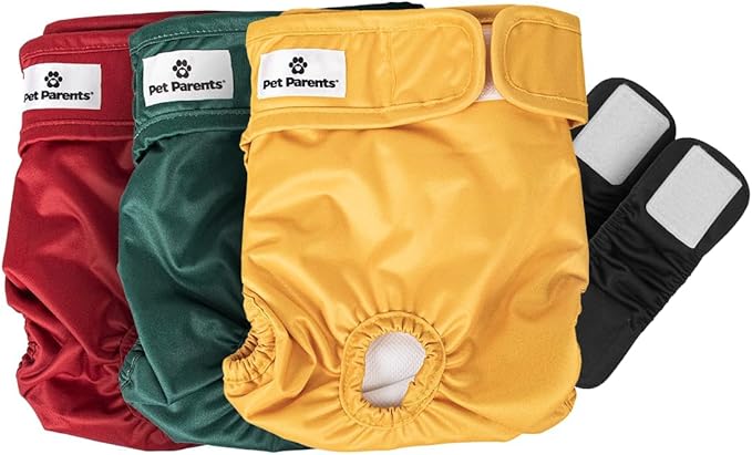 Pet Parents® Washable Dog Diapers (3pack) + Extendrs® of Durable Doggie Diapers, Premium Dog Diapers Female (X-Large, Samba)