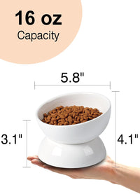 Cat Water Bowl, 15° Tilted and Raised Pet Food Dish - 1 Pack / White - image 2