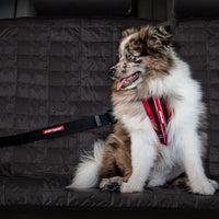 EzyDog CLICK – Dog Seat Belt for Car, Dog Harness Adjustable Seatbelt Attachment – Heavy Duty Nylon Seat Belt Webbing (17.5in - 26in)