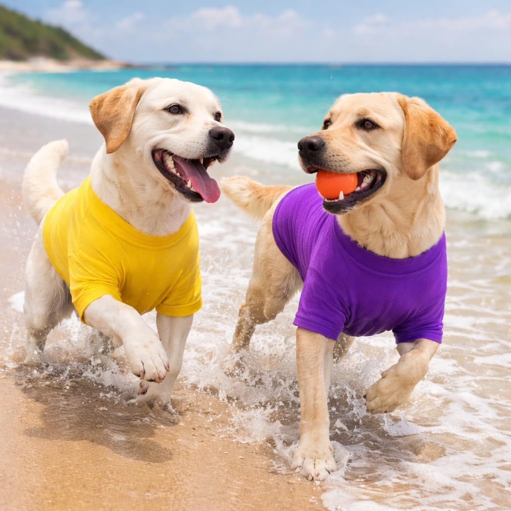 Lovelonglong Pet Clothing Dog Costumes Basic Blank T-Shirt Tee Shirts - B-M (for Bulldog -25lbs) / Yellow - image 4