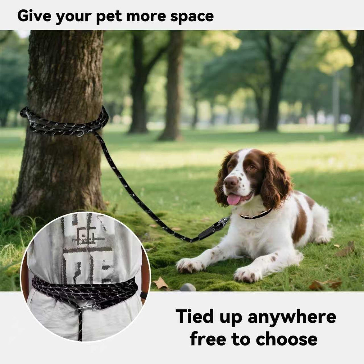 Long Dog Training Leash，Heavy Duty Reflective Rope Lead for Small - Black / 50FT - image 2