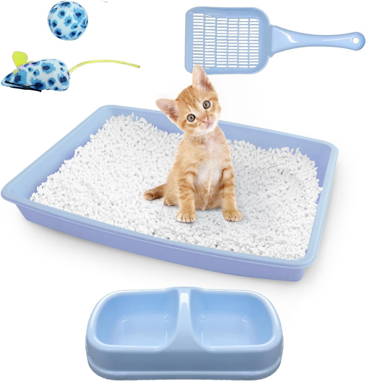 PAWISE Cat Litter Box Set, Small Kitten Starter Kit - Blue