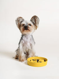 Ceramic Slow Feeder Dog Bowls Small Breed - Yellow / S-0.5 Cups - image 4