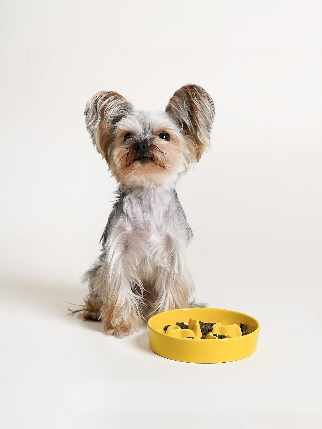Ceramic Slow Feeder Dog Bowls Small Breed - Yellow / S-0.5 Cups - image 4