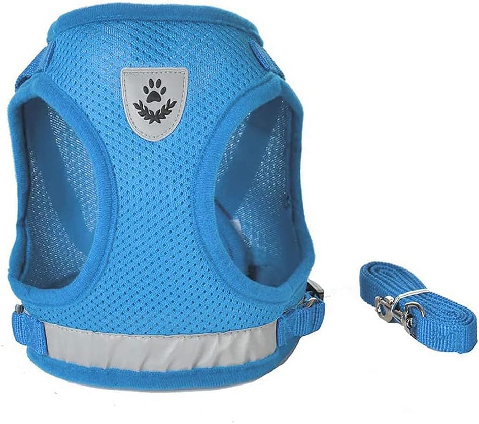 FEimaX Dog Harness and Leash Set for Walking - Azure / X-Small - image 2
