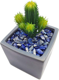 WAYBER 2 Lbs/920g Deep Blue Lapis Lazuli Pebbles Irregular Decorative Stones Natural Crystal Rock Gravel for Aquarium/Fish Turtle Tank/Succulent Plants/Air Plants Decoration (Fill 1.8 Cups)