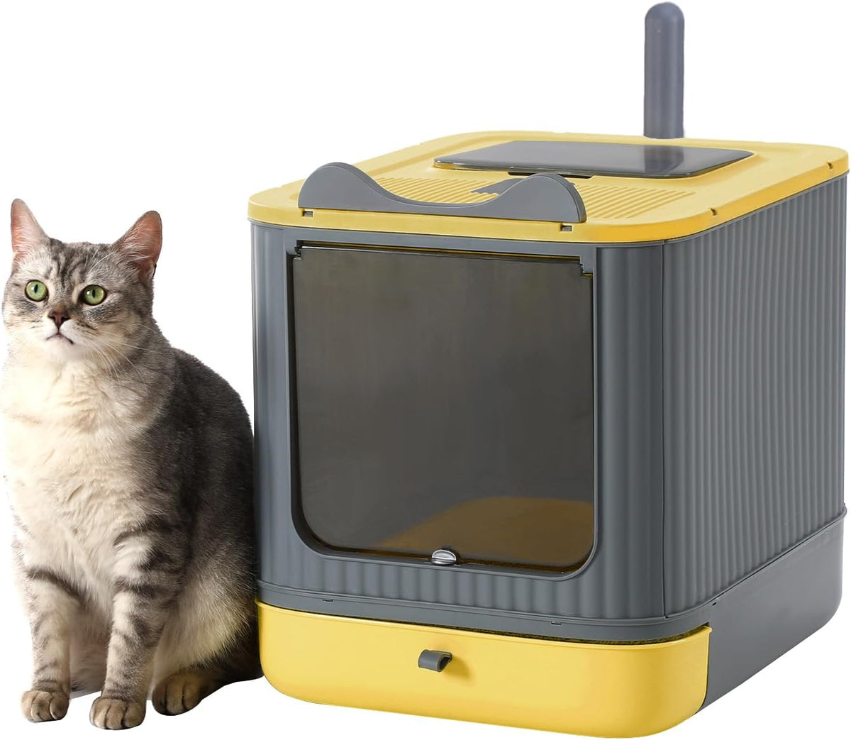 Foldable Enclosed Cat Litter Box with Lid, for Kitten to Medium - Yellow&Grey