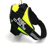PawPawify Custom No Pull Dog Harness with Name and Phone Number, Heavy Duty Personalized Pet Vest to Prevent Tugging, Pulling, or Choking, Training and Walking (Green, S (10-19LBS))