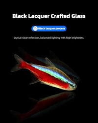 5 Gallon Clear Glass Fish Tank, Easy to Maintain Small Aquariumfor Betta, Goldfish, Snail,Shrimp and Aquatic Planting