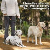 Howgo Double Slip Leash Slip Lead with Two Handles| Dual Dog Slip Lead for 2 Dogs,360° Swivel No Tangle | Dog Training Collar | Double Clip Leash Coupler and Splitter (Red, 6FT)
