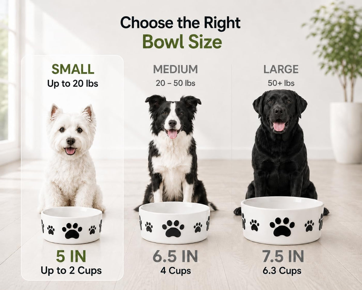 Ceramic Dog Bowls Set, 6.5''×2.5'', with Anti-Slip Rings - 5 in - image 4