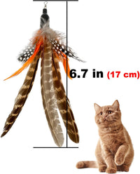 Cat Feather Toys Refills, 6 Pieces Handmade Da Bird Feathers Refill, Cat Wand Replacement Feather - B-6 Pieces Feather Refills - image 4