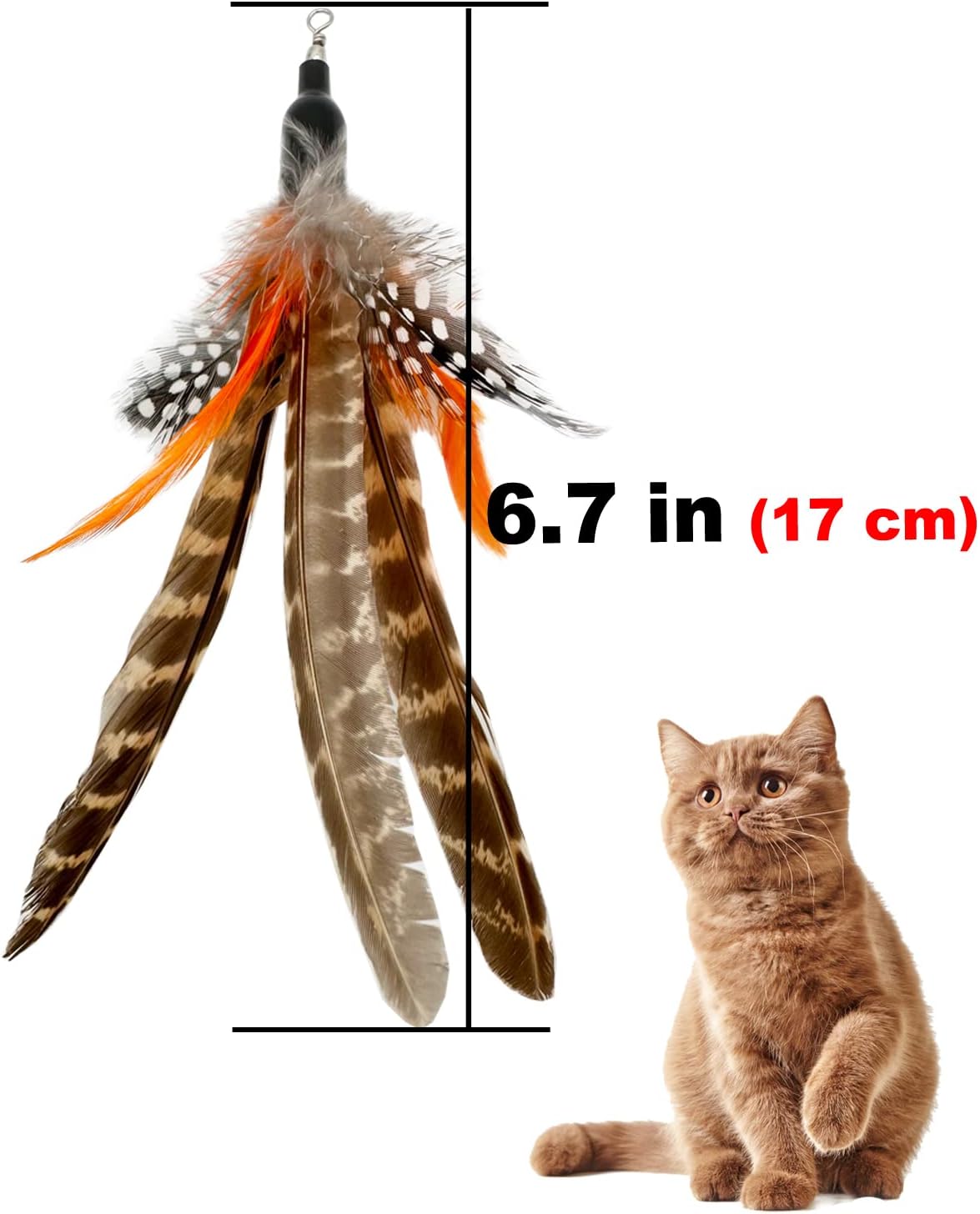 Cat Feather Toys Refills, 6 Pieces Handmade Da Bird Feathers Refill, Cat Wand Replacement Feather - B-6 Pieces Feather Refills - image 4