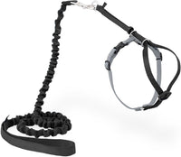 PetSafe Come With Me Kitty Harness and Bungee Cat Leash - Small (Pack of 1) / black/fawn