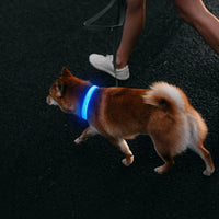 Light Up Collar for Small Dogs& Cats - L (18.9-23.6inch/ 48-60cm) / Blue - image 2