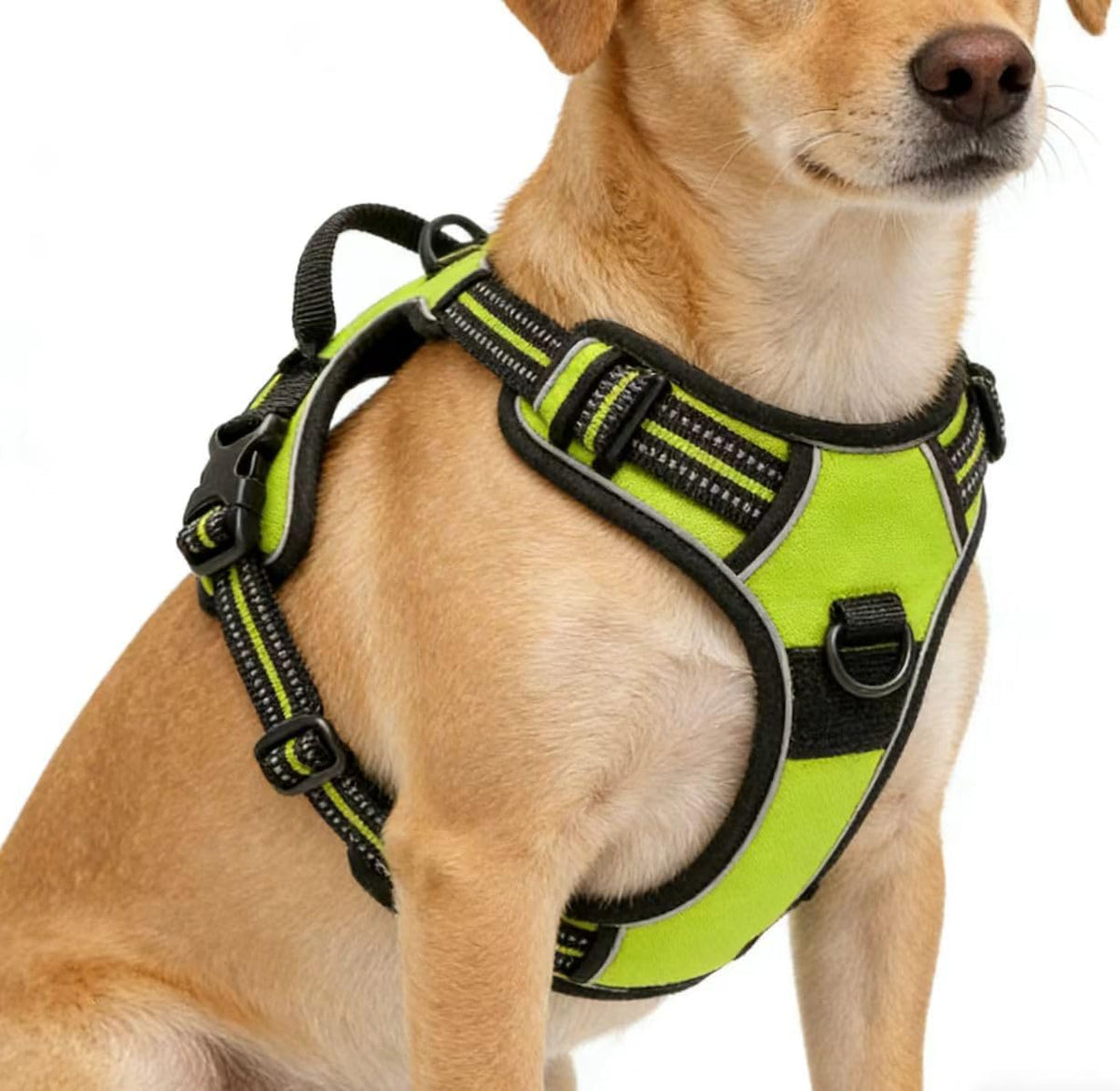 Blue No-Pull Dog Harness with 2 Leash Clips，Soft Padded Vest - X-Large / Green - image 4