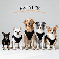 Discover Cozy Cotton Canine Wear: Soft, Lightweight - Red / 2XL-(15~30lb) | Back(~20.1") - image 2
