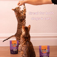 Silver Carp Chips Dog & Cat Treats | Single Ingredient | Wild Caught | Made w/Invasive Fish | Grain Free | High Protein + Low Fat | Hypoallergenic | Made in The USA (2 Pack)
