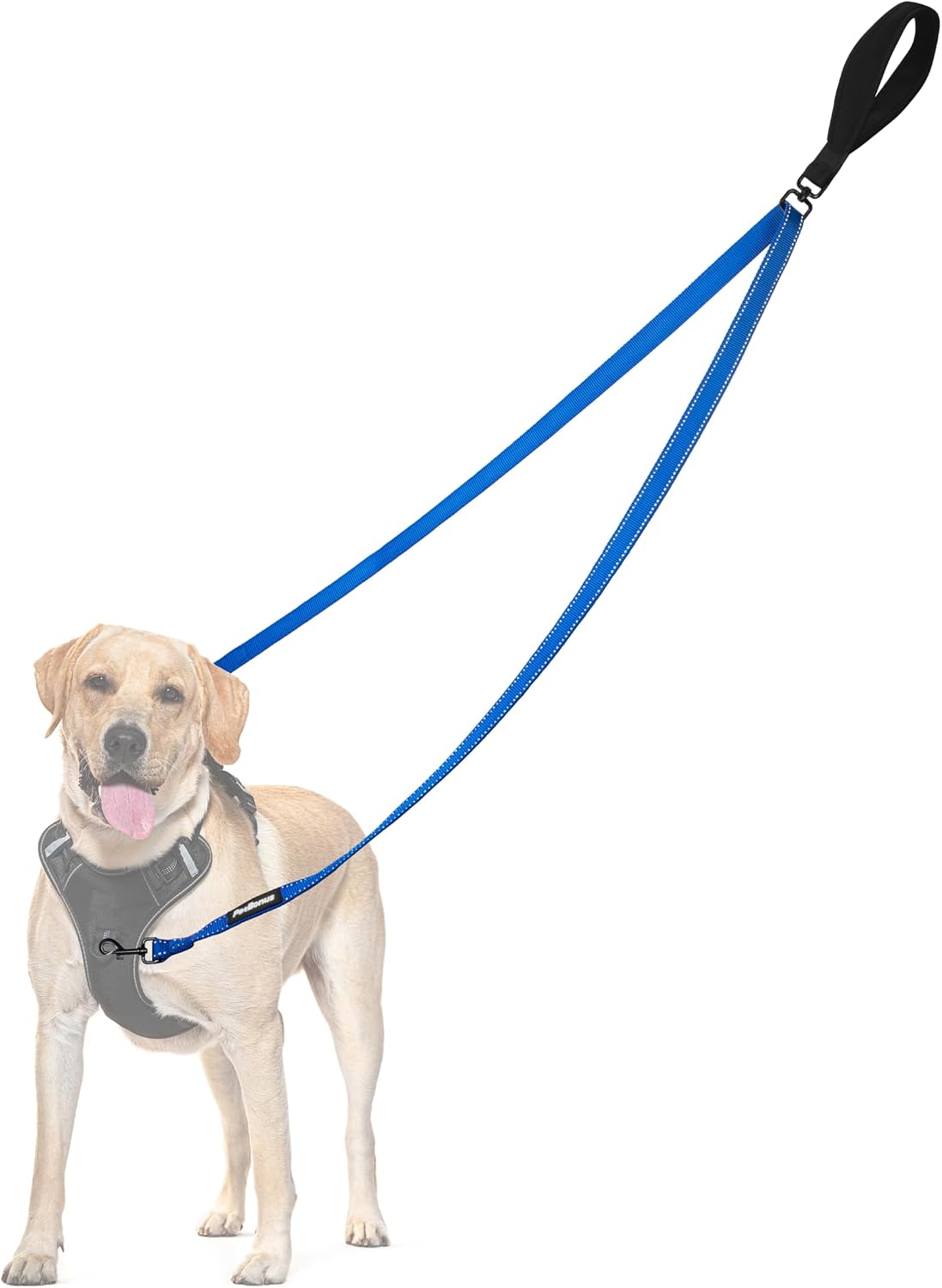 Two Point Control Dog Leash, No Tangle Training Walking Leashes – Essentials for Dogs - Blue