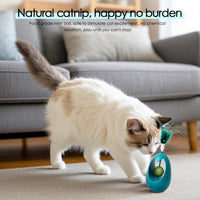 Interactive Cat Toy Tumbler with Catnip Ball