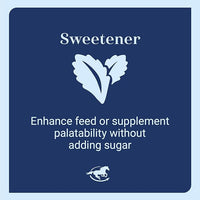 Uckele by SmartEquine Equi Sweet Molasses | Sugar-Free Liquid with Stevia | Perfect for Picky Eaters, Enhances Feed Palatability | 1 Gallon