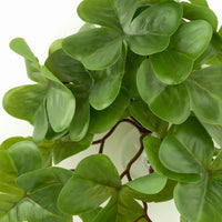Fake Calathea Orbifolia, Reptile Terrarium Suction Plants – Essentials for Fish - Fake Shamrock - image 3