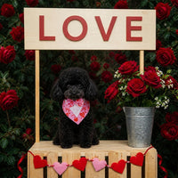 Dog Tuxedo for Small Dogs Valentines Bandana with Bowtie Wedding Tux – Essentials for Dogs - Heart / X-Small - image 4
