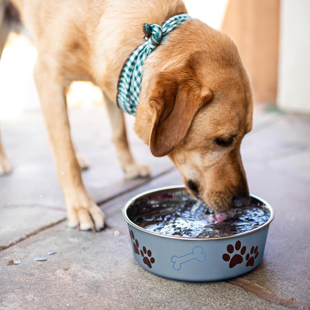Loving Pets Bella Dog Bowls, Stainless Steel Dog & Cat Bowls - Blueberry / X-Large (65-100lbs) - image 3