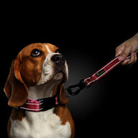 PLUTUS PET 10” Short Dog Leash, Reflective Nylon Padded Handle, Strong Traffic Leash with Carabiner Clip, Perfect for Large or Medium Dogs（10”，Red