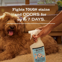 Mrs. MEYER'S CLEAN DAY Pet Stain & Odor Fighter - Coconut Leaf / 16 Fl Oz (Pack of 1) - image 3