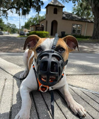 Mayerzon Dog Muzzle, Breathable Basket Muzzles for Small, Medium, Large and X-Large Aggressive Dogs Beagle German Shepherd Doberman, Cage Mouth Guard Stop Biting Chewing for Grooming Training