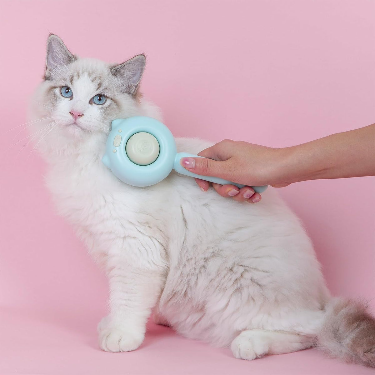 Cat Brush for Indoor Cats for Shedding, Dog Brush - Light Blue - image 2