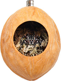 2 Pack Jumping Spider Enclosure Accessories with Walnut Shell Moss and Magnet, Natural Material Jumping Spider Hide